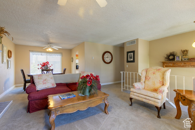 Photo 3 for MLS #2113179 at 1008 S Fountain Dr
