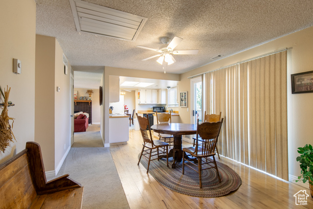 Photo 14 for MLS #2113179 at 1008 S Fountain Dr