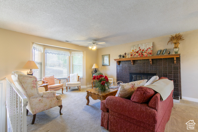 Photo 5 for MLS #2113179 at 1008 S Fountain Dr