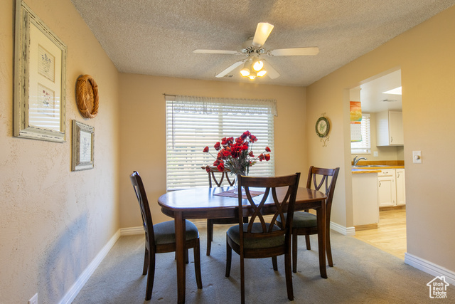 Photo 7 for MLS #2113179 at 1008 S Fountain Dr