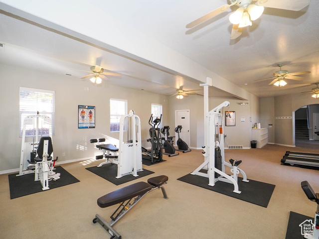 Photo 50 for MLS #2113216 at 6831 S Garonne Ct