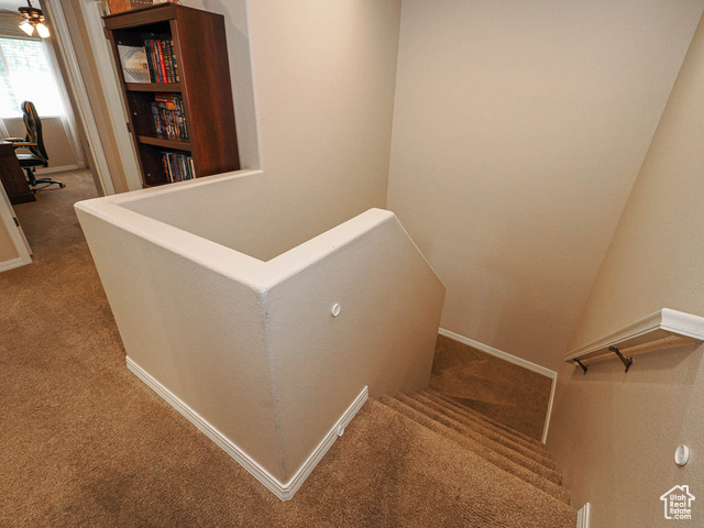 Photo 42 for MLS #2113216 at 6831 S Garonne Ct