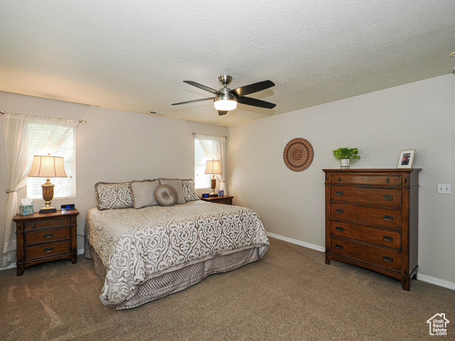Photo 30 for MLS #2113216 at 6831 S Garonne Ct