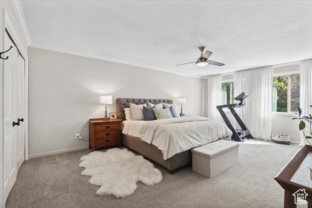 Photo 18 - 2494 E Murray Holladay Rd, Holladay UT 84117