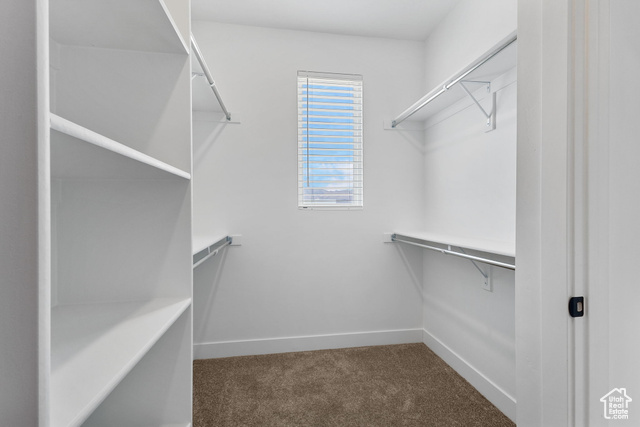 Photo 15 for MLS #2113223 at 11211 S Clear Blue Dr