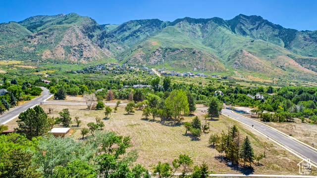 1462 N GROVE DR, Alpine UT 84004