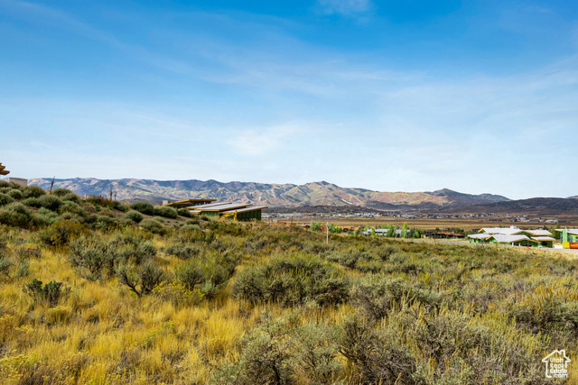Photo 5 for MLS #2113320 at 2943 Hills Ridge Rd