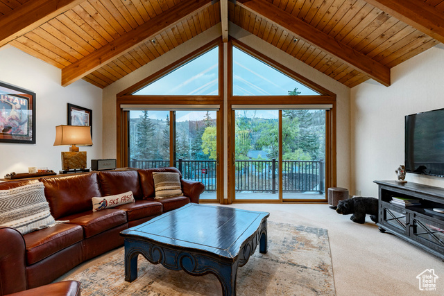 Photo 2 for MLS #2113325 at 1575 Pinnacle Dr #62