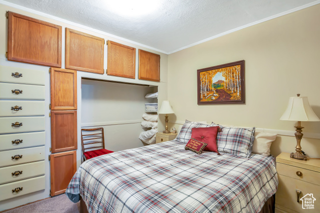 Photo 10 for MLS #2113347 at 2540 W Snake Rd