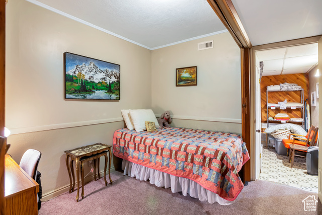Photo 8 for MLS #2113347 at 2540 W Snake Rd