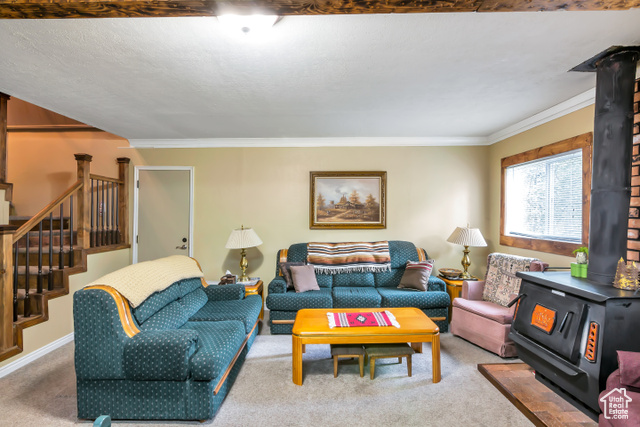 Photo 23 for MLS #2113347 at 2540 W Snake Rd