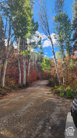Photo 4 for MLS #2113347 at 2540 W Snake Rd
