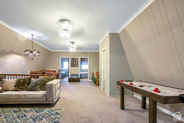 Photo 14 for MLS #2113347 at 2540 W Snake Rd