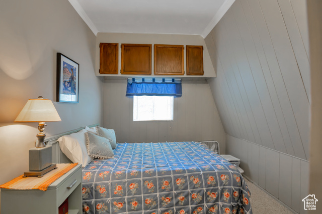 Photo 18 for MLS #2113347 at 2540 W Snake Rd