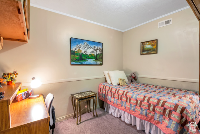 Photo 7 for MLS #2113347 at 2540 W Snake Rd