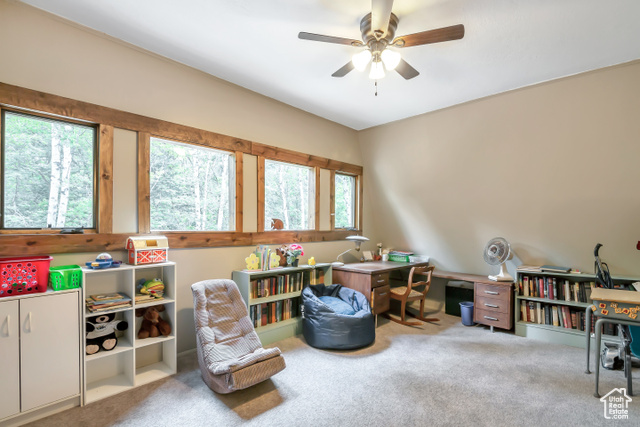 Photo 15 for MLS #2113347 at 2540 W Snake Rd
