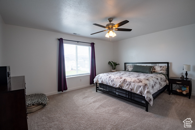 Photo 19 for MLS #2113364 at 7911 N Seattle Slew Rd