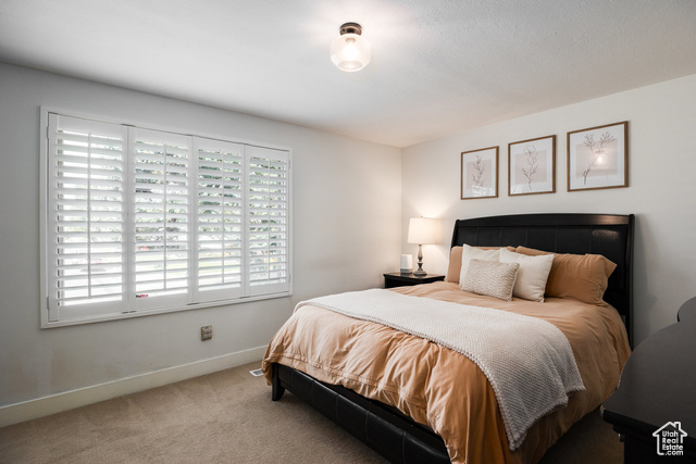 Photo 16 for MLS #2113441 at 10557 S Primrose Dr
