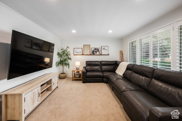 Photo 8 for MLS #2113441 at 10557 S Primrose Dr