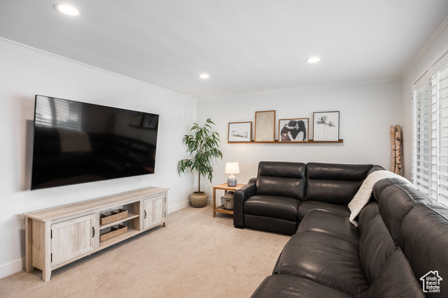 Photo 9 for MLS #2113441 at 10557 S Primrose Dr