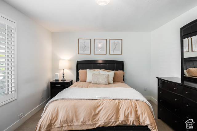 Photo 17 for MLS #2113441 at 10557 S Primrose Dr