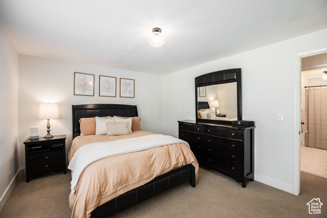 Photo 18 for MLS #2113441 at 10557 S Primrose Dr