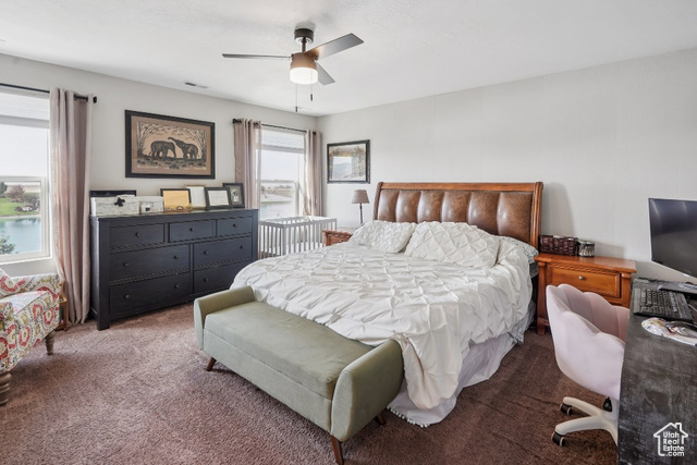 Photo 32 for MLS #2113461 at 1651 W White Pine Dr