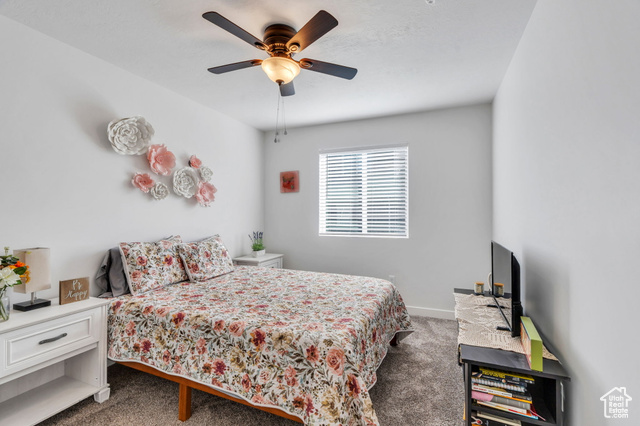 Photo 19 for MLS #2113464 at 6916 S Static Peak Dr