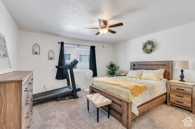 Photo 13 for MLS #2113464 at 6916 S Static Peak Dr