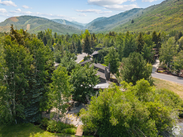 Photo 50 for MLS #2113480 at 74 Thaynes Canyon Dr