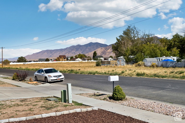 Photo 5 for MLS #2113484 at 541 N Coleman