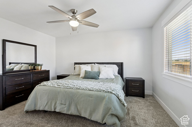 Photo 23 for MLS #2113484 at 541 N Coleman