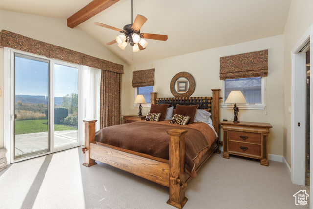 Photo 20 for MLS #2113551 at 3438 N Trappers Ct