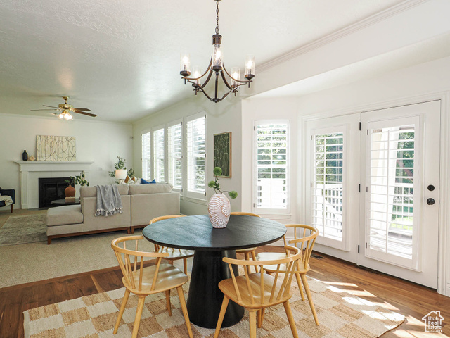 Photo 61 for MLS #2113594 at 572 E Autumn Hollow Ct