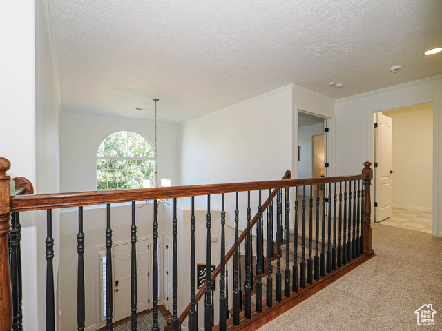 Photo 83 for MLS #2113594 at 572 E Autumn Hollow Ct