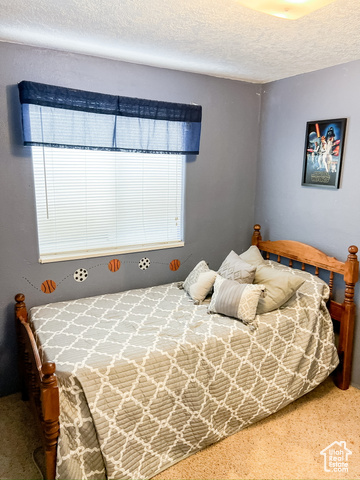 Photo 13 for MLS #2113610 at 407 E 520 South