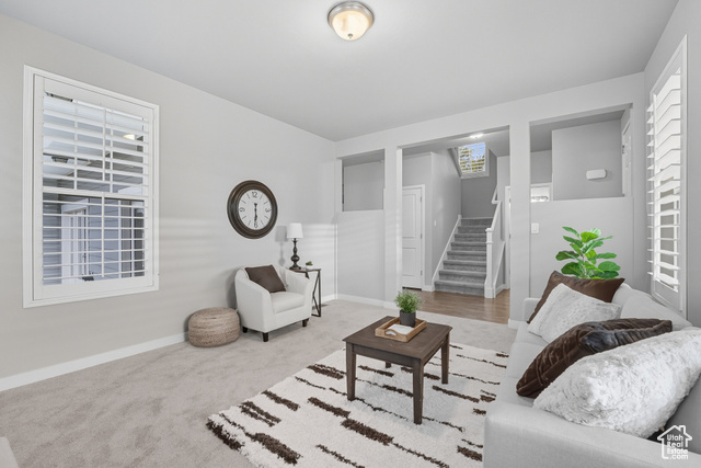 Photo 8 for MLS #2113618 at 10244 S Salmon Dr