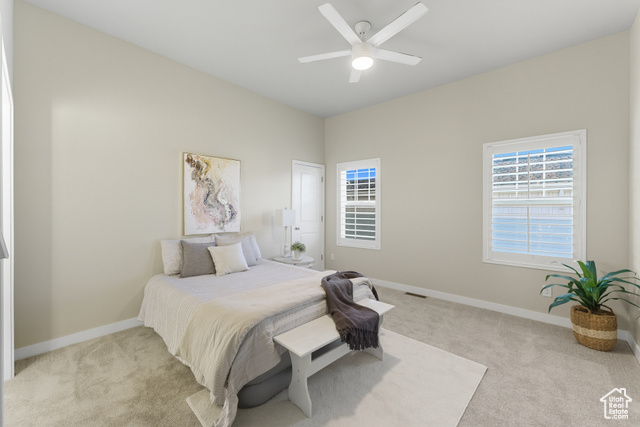 Photo 18 for MLS #2113618 at 10244 S Salmon Dr