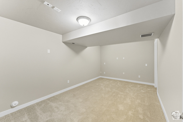 Photo 35 for MLS #2113618 at 10244 S Salmon Dr
