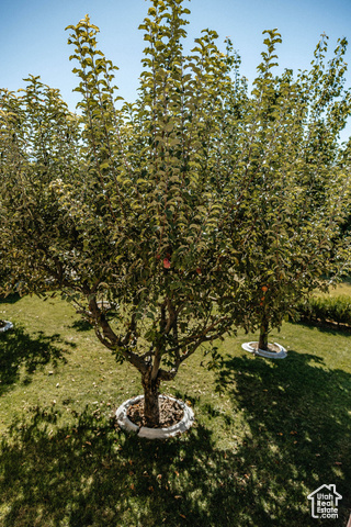 Photo 41 - 471 W Pumpkin Patch Dr, Saratoga Springs UT 84045