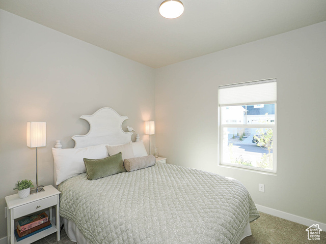 Photo 31 for MLS #2113679 at 11882 S Harvest Gold Way