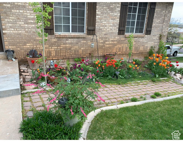 Photo 23 for MLS #2113704 at 5678 S Maplewood Dr