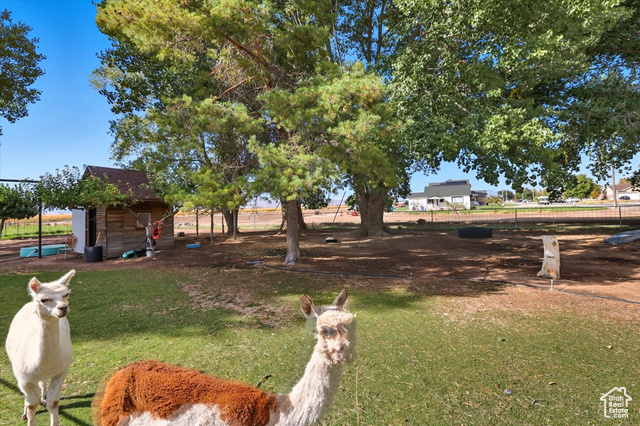 Photo 41 for MLS #2113722 at 8185 N 4600 West
