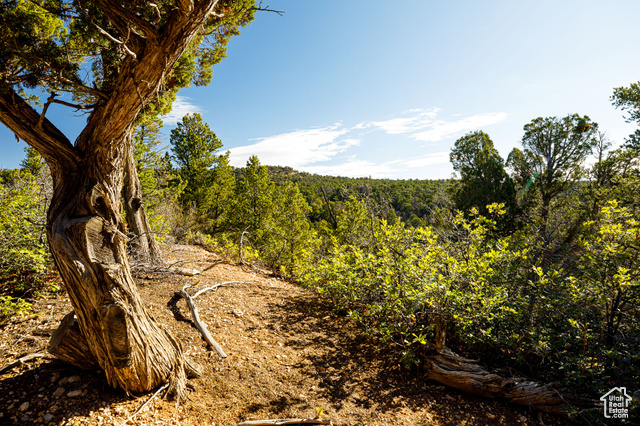 245  SLIDE CANYON RD, Kanab UT 84741