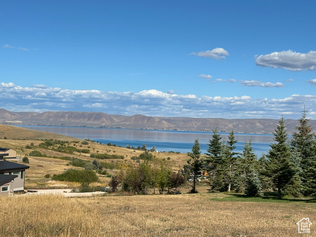 112  BROWN BEAR WAY, Fish Haven ID 83287
