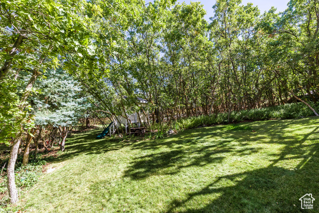 Photo 55 for MLS #2113878 at 557 S Elk Meadow Loop
