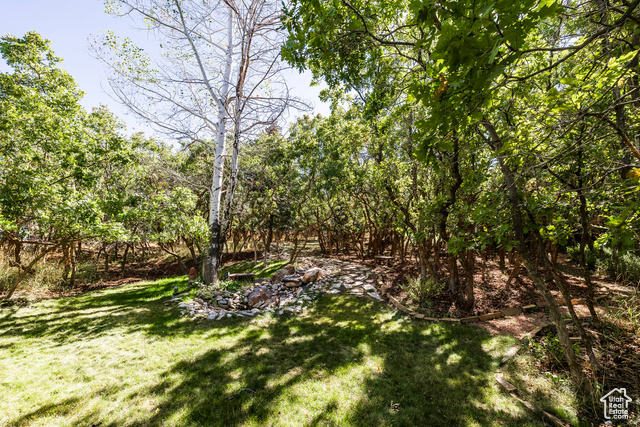 Photo 52 for MLS #2113878 at 557 S Elk Meadow Loop