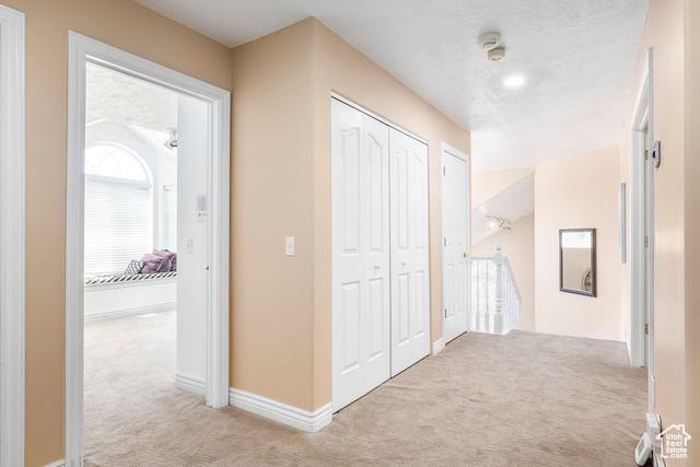 Photo 38 for MLS #2113878 at 557 S Elk Meadow Loop
