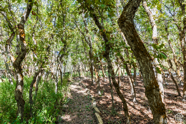 Photo 51 for MLS #2113878 at 557 S Elk Meadow Loop