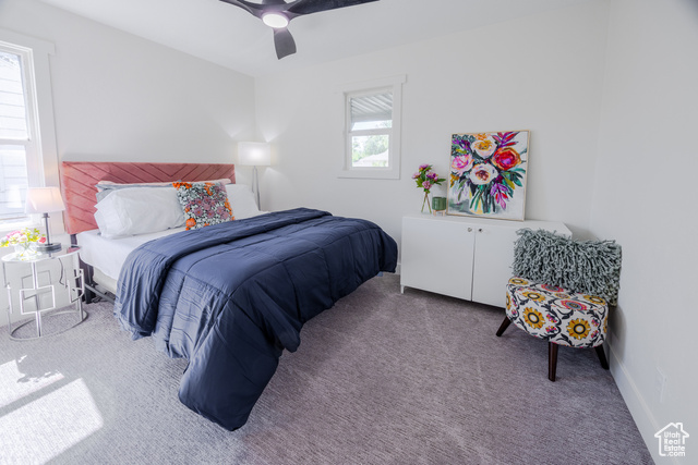 Photo 20 for MLS #2113887 at 1021 S Pueblo St